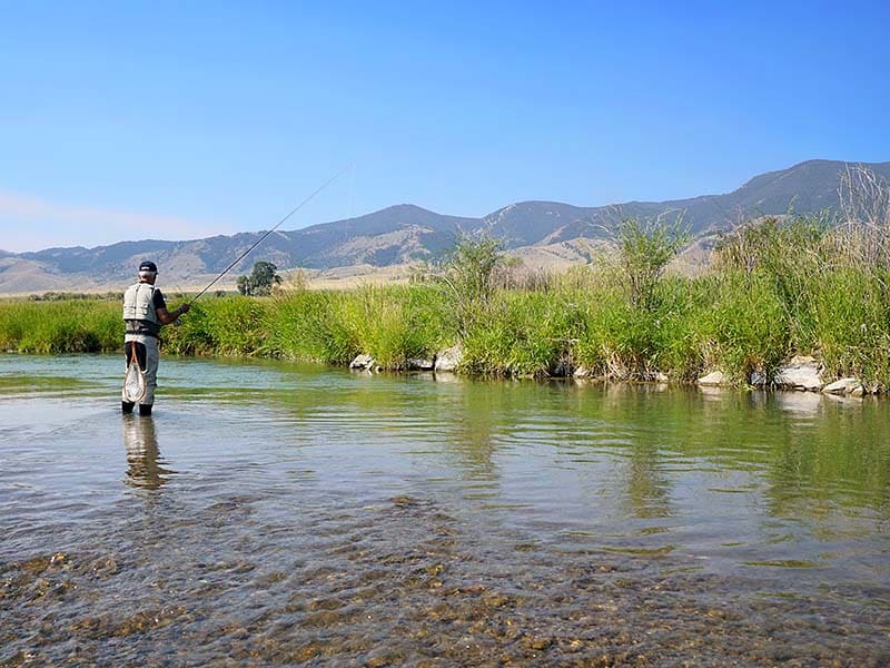 Montana's trout fishing is legendary.